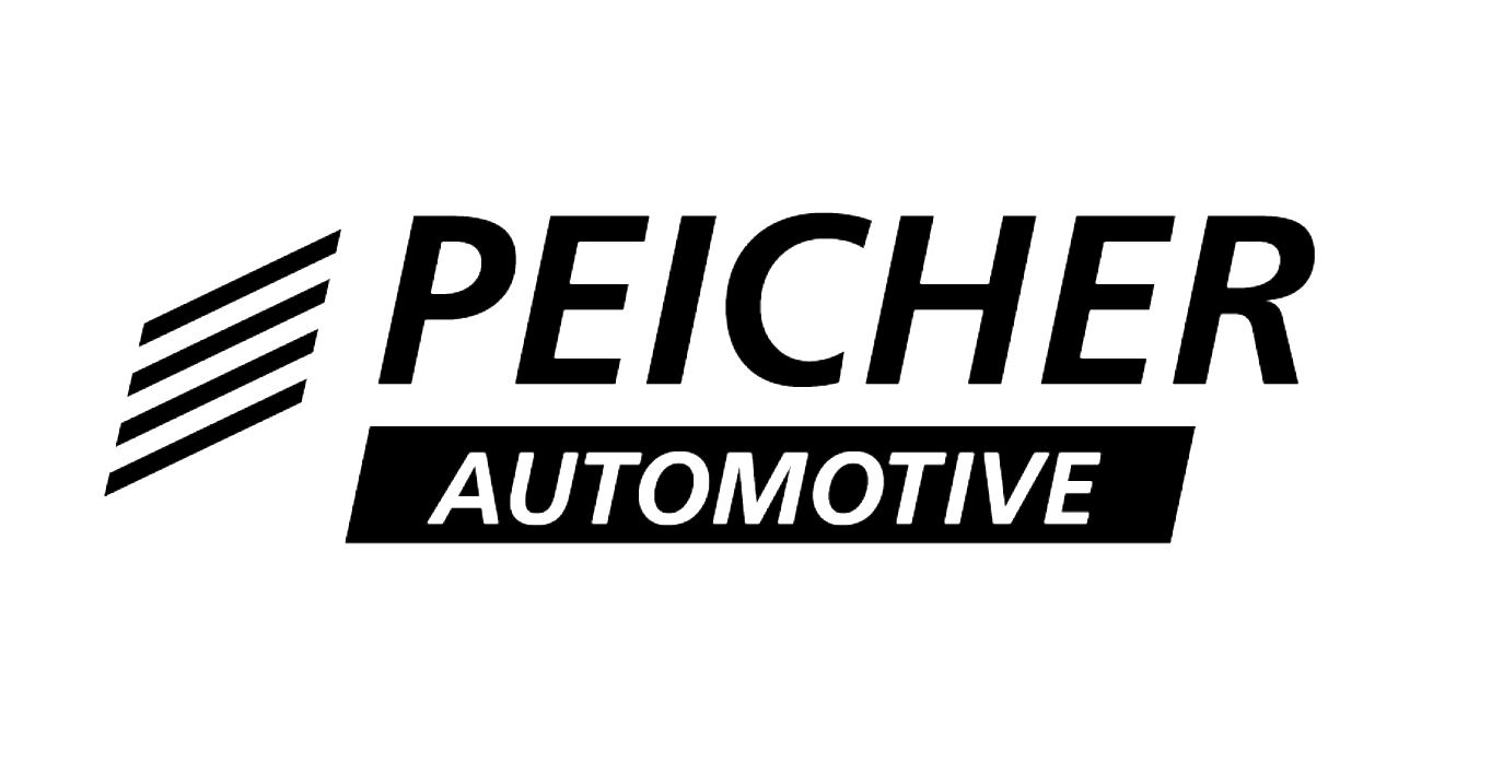 peicher logo sw (006)